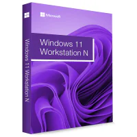 Microsoft Windows 11 Workstation N